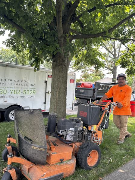 Maintaining Front Yard