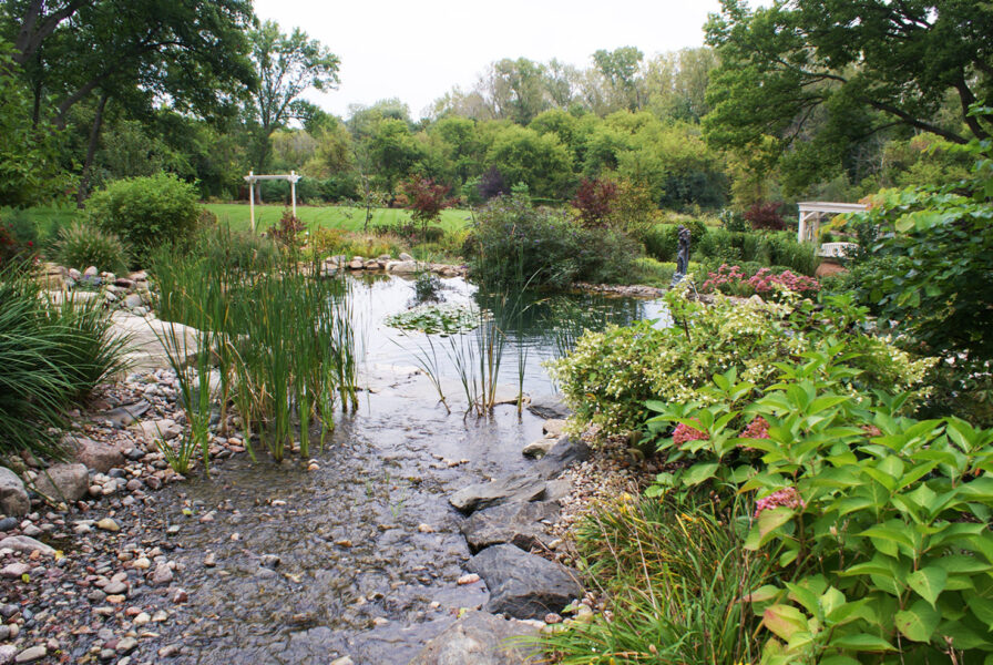 Backyard Pond